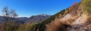 14 Su stradetta agrosilvopastorale in decisa salita con vista in Resegone